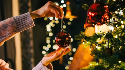 Как красиво украсить елку на Новый год, как выбрать новогоднюю елку,  советы, идеи, фото | Houzz Россия