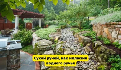 Ландшафтные форумы GARDENER.ru • Просмотр темы - Угол забора, сухой ручей