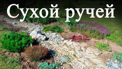 Сухой ручей, как иллюзия водного ручья | DolinaRoz.ru | Дзен