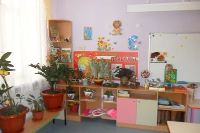 Уголок природы в детском саду | Авторская платформа Pandia.ru