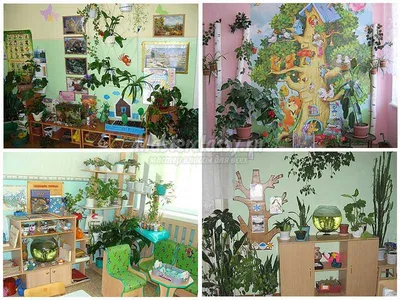 Уголок природы в начальной школе для распечатки - фото и картинки  abrakadabra.fun
