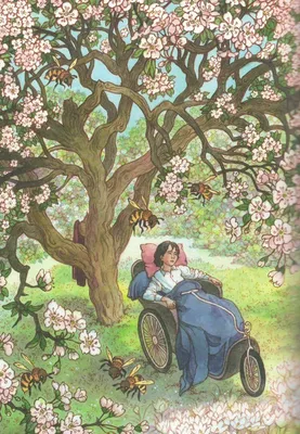 Купить книгу «Таинственный сад», Фрэнсис Бернетт | Издательство «Азбука»,  ISBN: 978-5-389-11650-4
