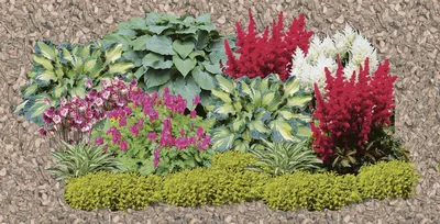 Тенистый сад с perennials стоковое фото. изображение насчитывающей  ослаблять - 38092930