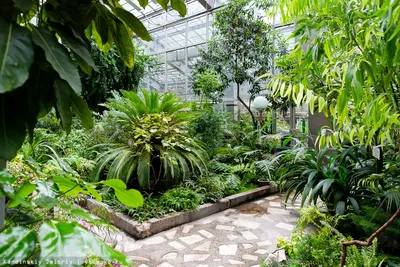 Томский ботанический сад фото фотографии