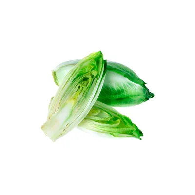 Салатный цикорий \"Витлуф\", семена 0,5 г купить по цене 99 ₽ в  интернет-магазине KazanExpress