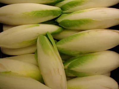 Листовой цикорий, запеченный с овощами | school-culinary.ru | Дзен