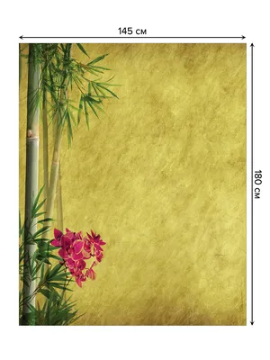 Листья бамбука и цветение Сакуры Иллюстрация вектора - иллюстрации  насчитывающей свет, сезон: 91211037