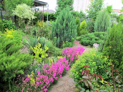 Цветочные бордюры в саду фото фото