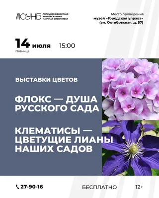 Мои цветущие лианы | DolinaRoz.ru | Дзен