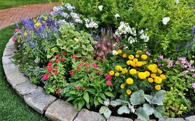 Чем подкормить цветы на клумбе, чтобы цвели – перечень удобрений –  Lifestyle 24
