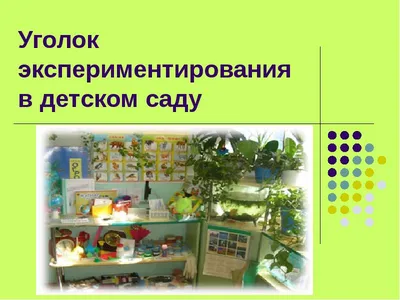 Консультация для педагогов «Уголок экспериментирования в детском саду»