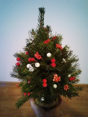 Как сделать новогоднюю елку своими руками: несколько простых идей (19 фото)  » Невседома