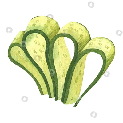 Карвинг огурца \"Завиток\". Украшения из овощей. Decoration of Vegetables.  Carving cucumber - YouTube