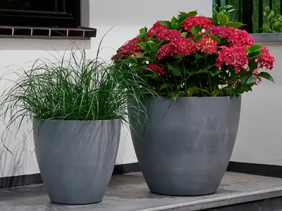 DIY cement planters - YouTube