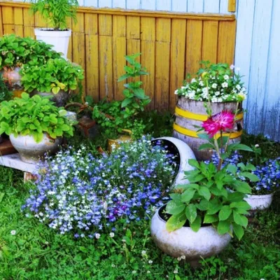 Необычные кашпо для сада: как удивить соседей – блог интернет-магазина  Порядок.ру