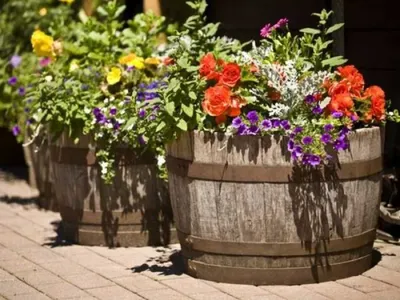Как правильно посадить цветы в вазон: советы ландшафтных дизайнеров |  myDecor