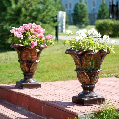 Высадка декоративных кустарников в бетонные вазоны - Vazon.ru