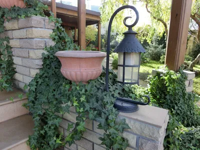 Кашпо и вазоны для сада или двора. | ПлиткаПлюс