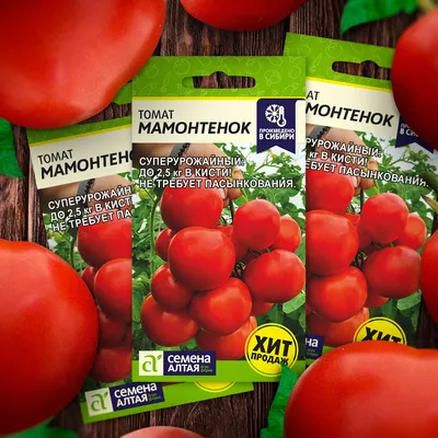 Что делать с зелеными помидорами: секреты быстрого дозревания и лучшие  рецепты на зиму