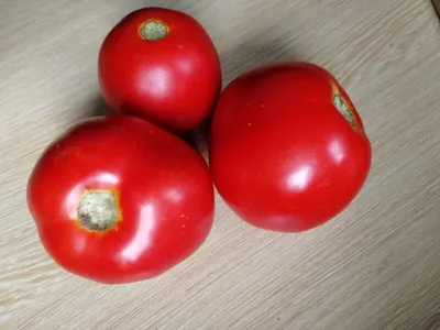 Сорта коричневых помидор: самые устойчивые и урожайные | Огородники