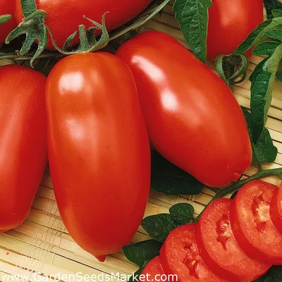 Какими удобрениями подкормить помидоры - список | РБК Украина