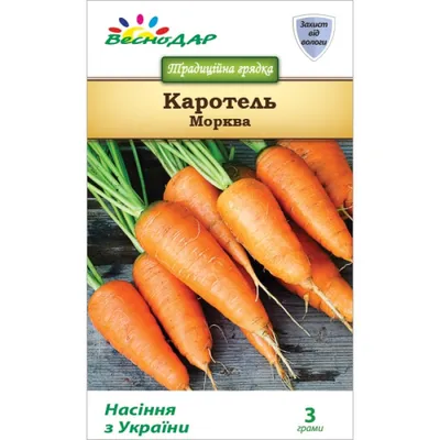 Семена моркови Шантене : 0,5гр Syngenta