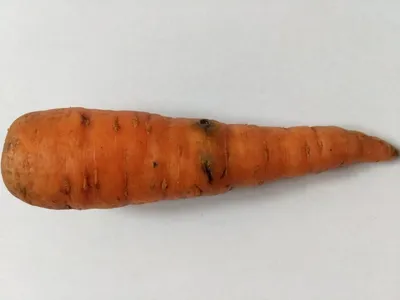 Чем полезна морковь| Роскачества
