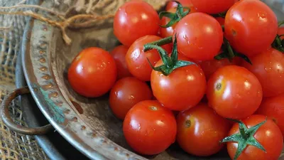 Интерлингва - Важность помидоров в нашем рационе Вот и пришел помидорный  сезон! Многие любят салаты, где главной составляющей являются различного  сорта томаты, заправленный растительным маслом. И это не зря! Этот  необычайно вкусный