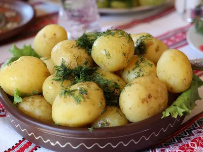 Сорта картофеля которые считаются самыми урожайными | РБК Украина
