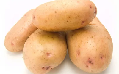 сорт картофеля Беллароза
