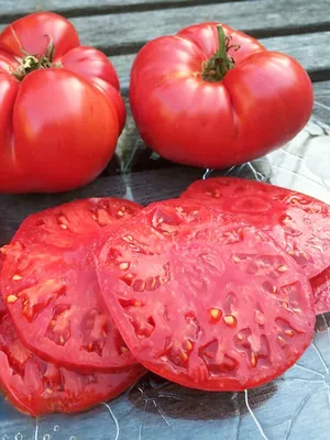 Страница магазина Средне и Высокорослые томаты 2 - Мои Томаты