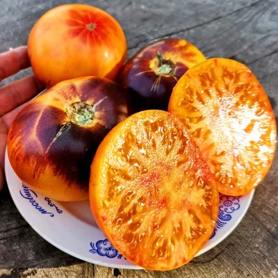 Для самых ленивых: 3 урожайные сорта томатов - крупные, мясистые, вкус  спелого киви