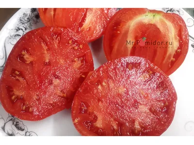 Большие красные полосы внутри разрез.jpg - Помидоры - tomat-pomidor.com