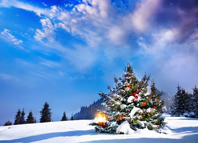Заснеженная елка Снегурочка 300 см - купить оптом по выгодной цене |  «Тренд-опт»