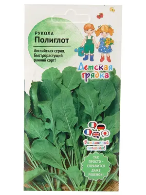 Огородникам назвали самую полезную зелень на грядке – ее надо обязательно  посадить - EAOMedia.ru