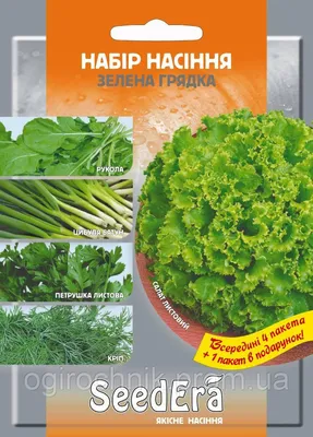 Как вырастить листовой салат на подоконнике и грядке - Лайфхакер