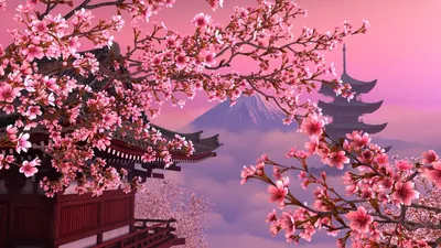 Картинка на рабочий стол красиво, япония, розовое, сакура 1920 x 1080