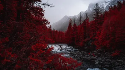 Download wallpaper 1920x1080 river, trees, red, mountains, fog, landscape  full hd, hdtv, fhd, 1080p hd background