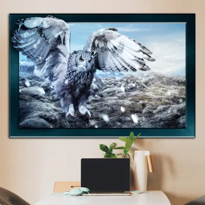Белая сова - 3д картина на стену купить Москве
