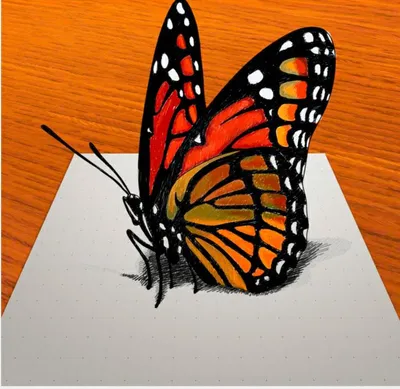 Как нарисовать бабочку в 3D на бумаге поэтапно
