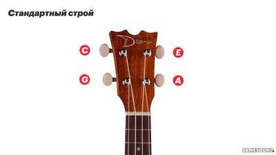 Стикеры на гриф гитары для обучения начинающих – купить по низким ценам в  интернет-магазине Joom