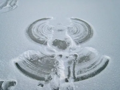 Ангел в снегу, сделанный мальчиком Стоковое Фото - изображение  насчитывающей холодно, крышка: 164791264