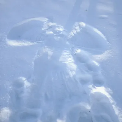 Снежный ангел 2023, Ярославский район — дата и место проведения, программа  мероприятия.
