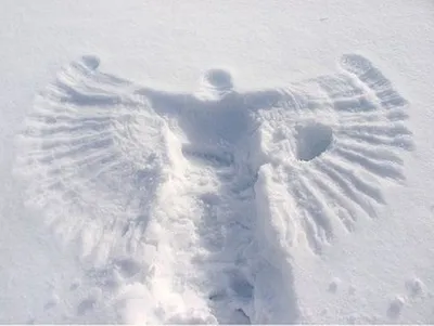 Дворники делают ангелов на снегу, во Внуково загорелся автобус с китайцами  и что еще произошло за ночь - Москвич Mag