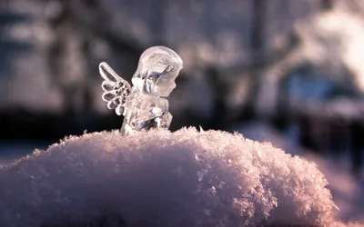 Снежные ангелы... Мистическая предновогодняя история... | Отель для  странных рассказов | Дзен