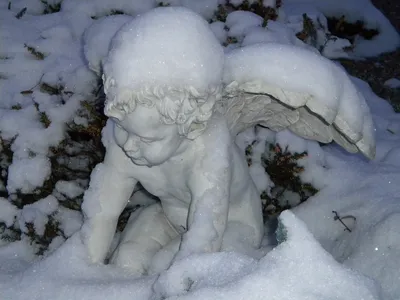 снежный ангел в 2023 г | Снег, Ангел