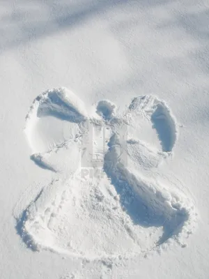 Бесплатные Снежные ангелы 2 стоковые фотографии | FreeImages