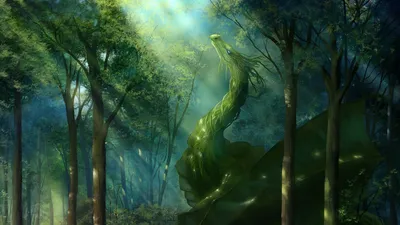 Обои дракон, лес, арт, зеленый, солнечный свет картинки на рабочий стол,  фото скачать бесплатно