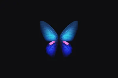 Фото Синяя бабочка в стиле стимпанк на черном фоне