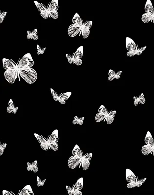 изображение оранжево черной бабочки на черном фоне, образец бабочки, Hd  фотография фото, опылитель фон картинки и Фото для бесплатной загрузки